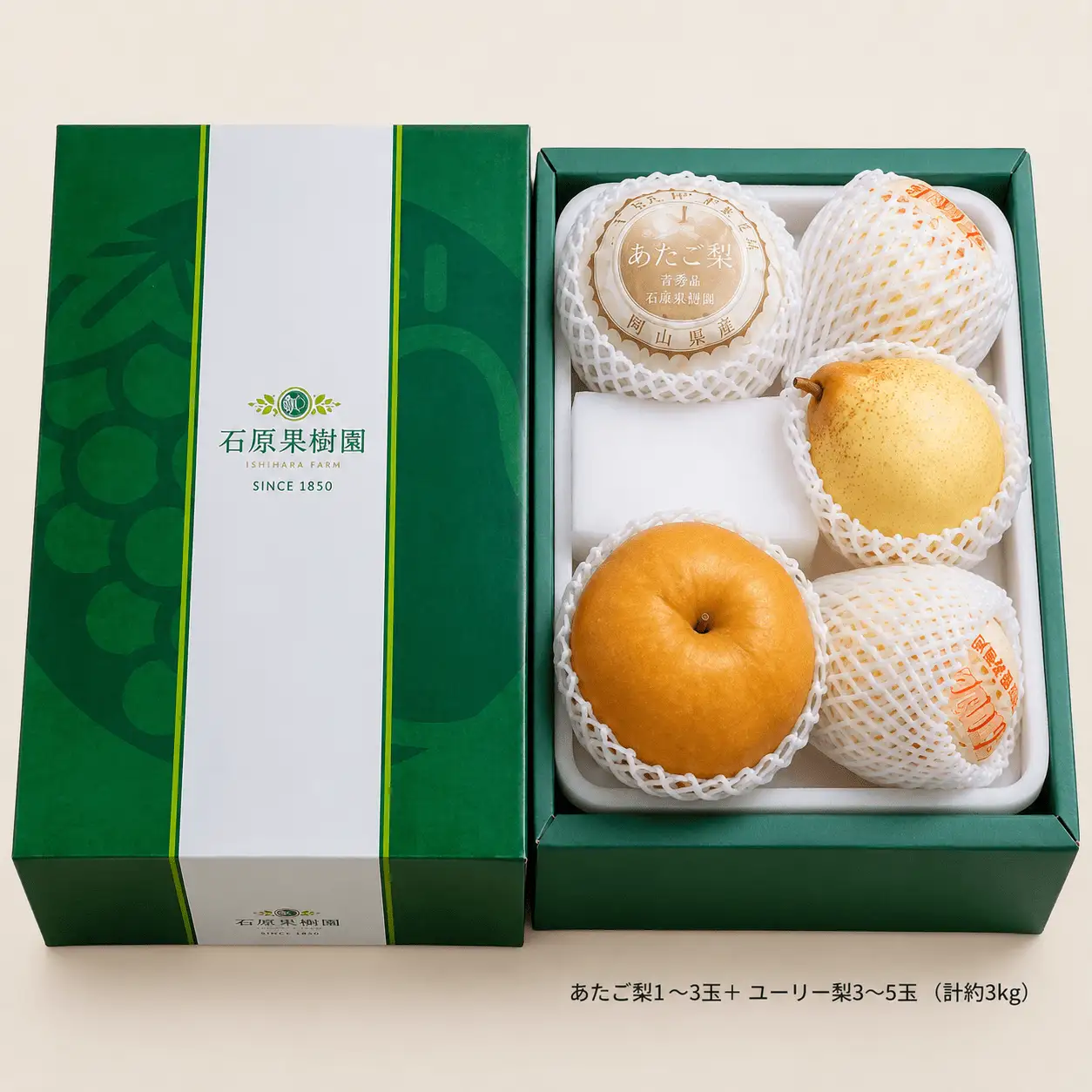 梨 詰め合わせ あたご梨1～3玉 ヤーリー梨3～5玉 計3kg 贈答箱 岡山県産 【ishk023-01】