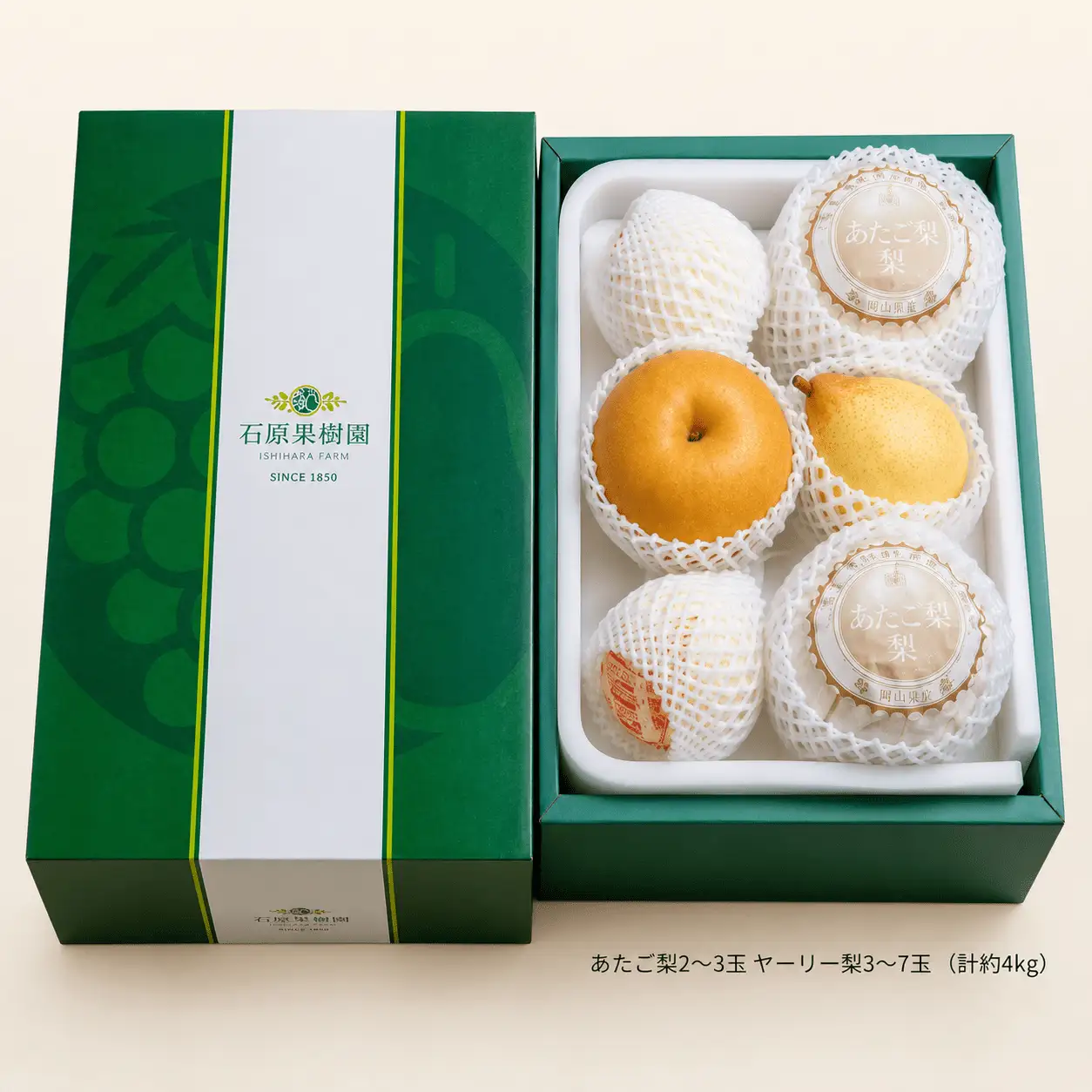 梨 詰め合わせ あたご梨2～3玉 ヤーリー梨3～7玉 計3kg 贈答箱 岡山県産 【ishk025-01】