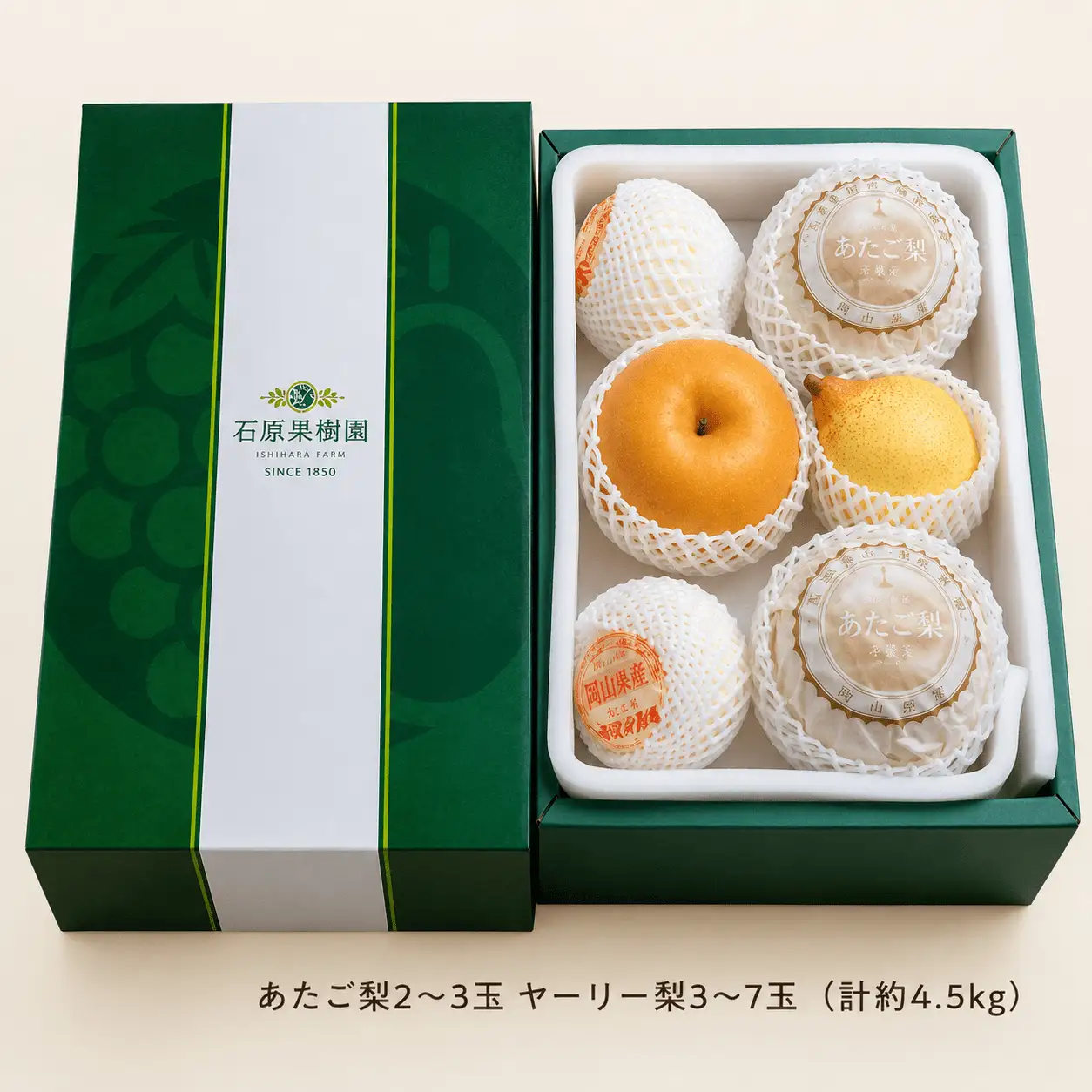 梨 詰め合わせ あたご梨2～3玉 ヤーリー梨3～7玉 計4.5kg 贈答箱 岡山県産 【ishk026-01】