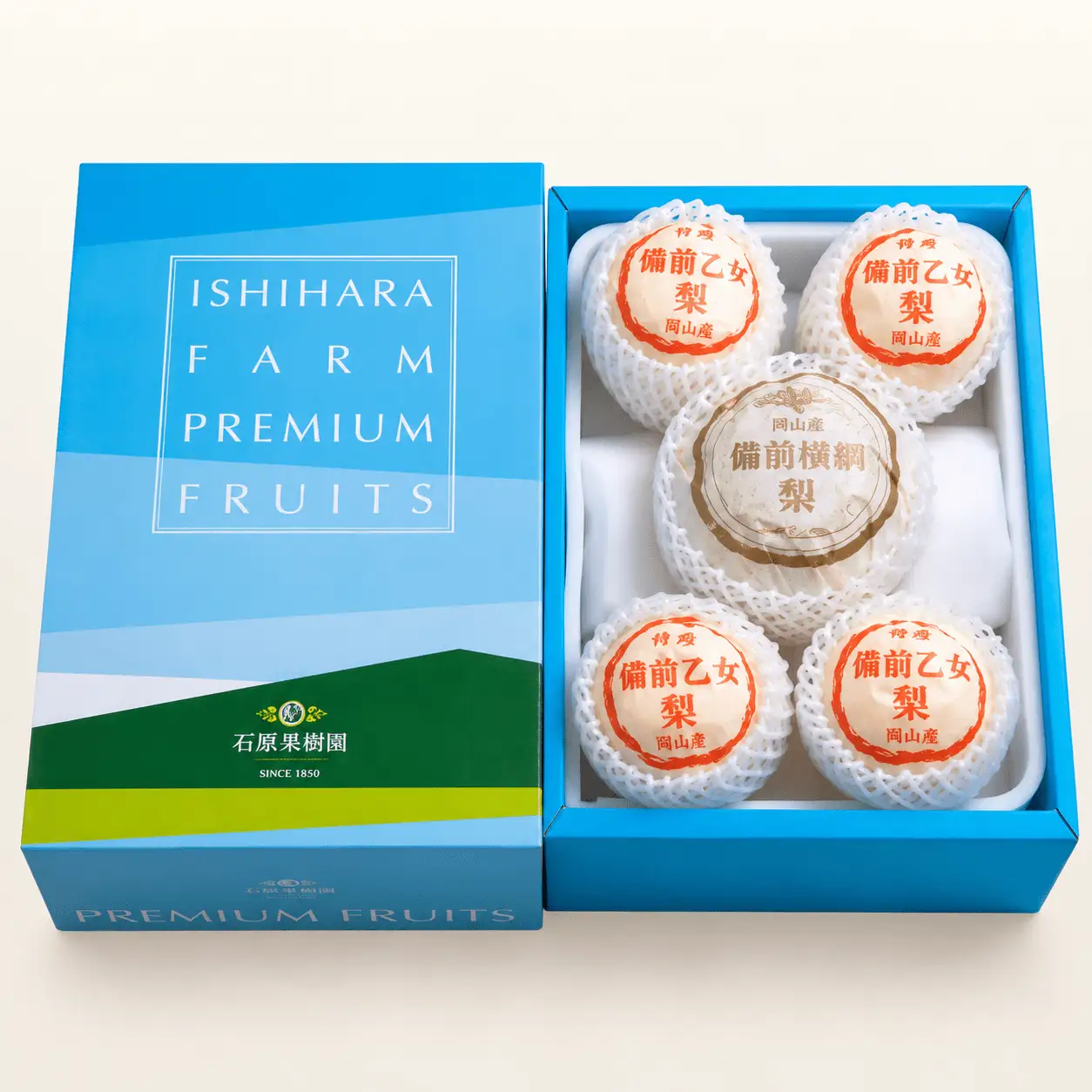 梨 詰め合わせ 3kg箱 横綱梨1玉(1～1.5kg玉) 乙女梨3～5玉 岡山県産【ishk034-01】