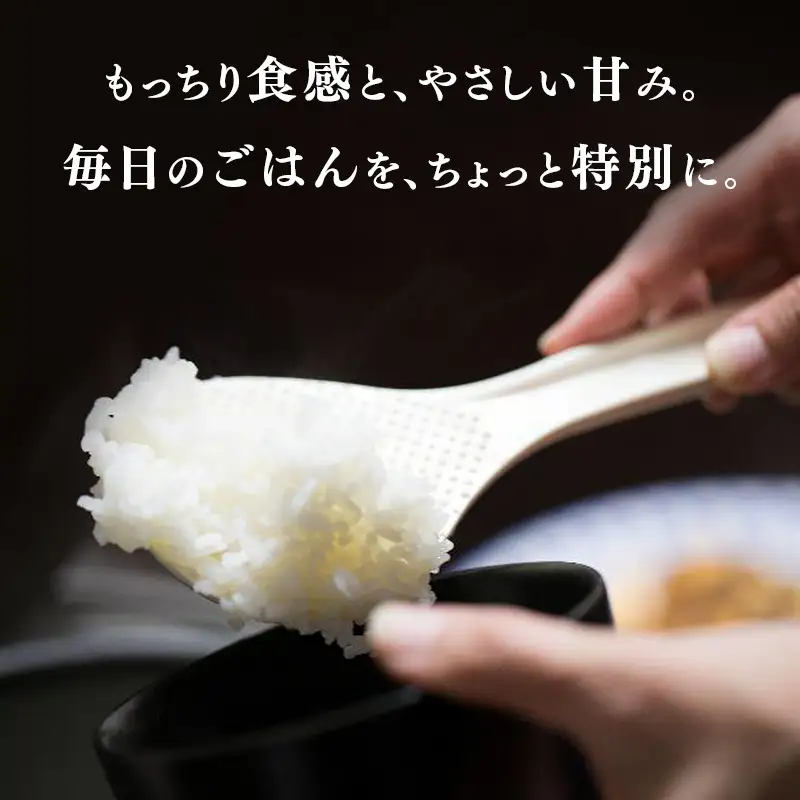 令和8年産 ミルキークイーン 約5kg | お米 愛媛県産米 白米 精米 【VEG1171】