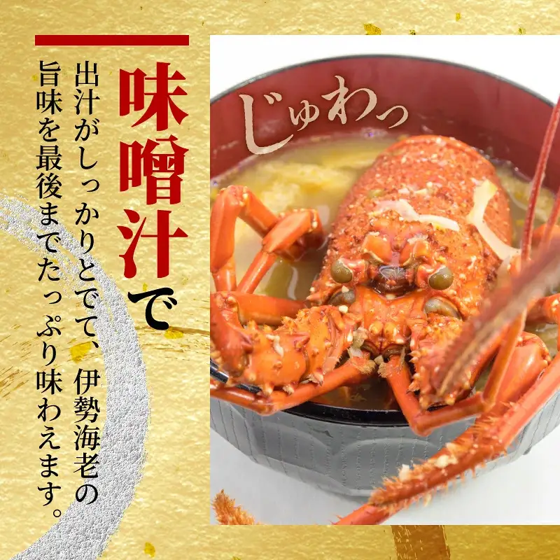 訳あり 伊勢海老 3～5尾 計 約1.3㎏ (冷凍) / 加熱用