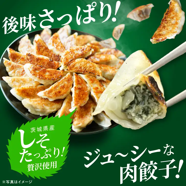 餃子 肉餃子 しそたっぷり肉餃子 ニラたっぷり肉餃子 各30個×2袋 ローズポーク ブランド豚 ぎょうざ 中華 そうざい 青しそ シソ にら 惣菜 時短 簡単調理 冷凍 【茨城県共通返礼品/行方市産】（96-08)
