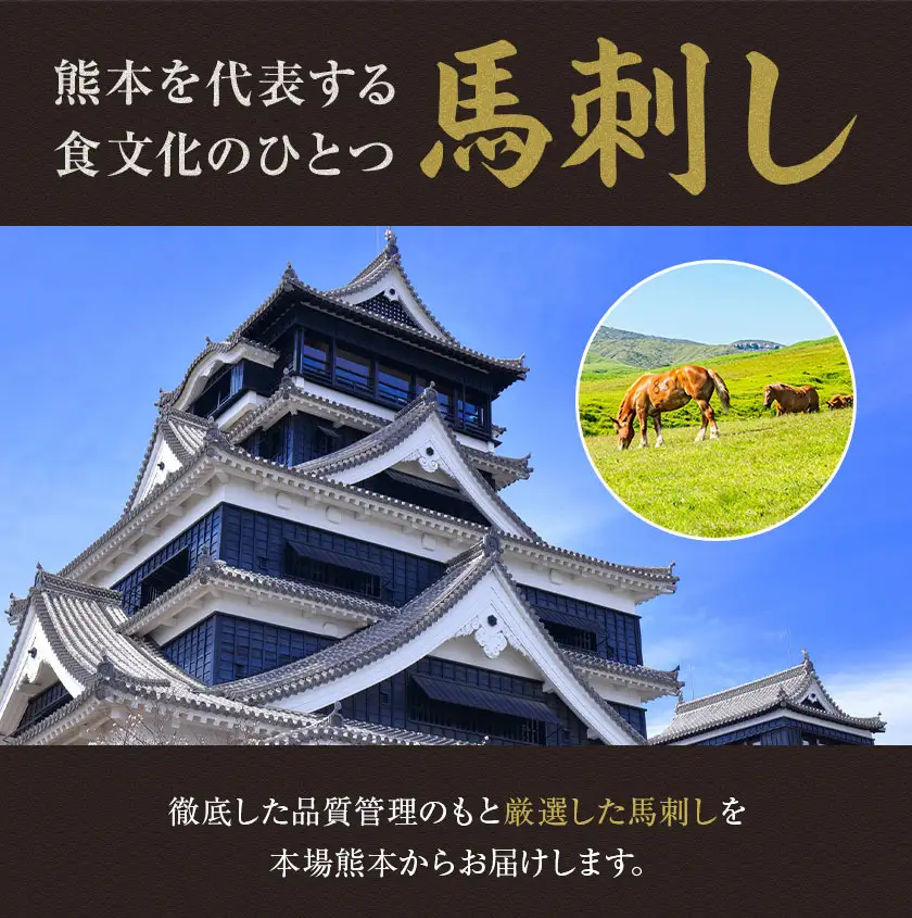 2種馬刺しセット(赤身馬刺し+上赤身)600g