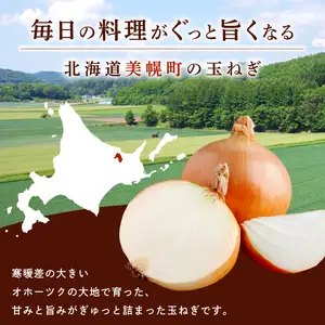 【 先行予約】玉ねぎ L大サイズ 20kg 美幌町産 (2026年10月以降順次発送) たまねぎ AF
