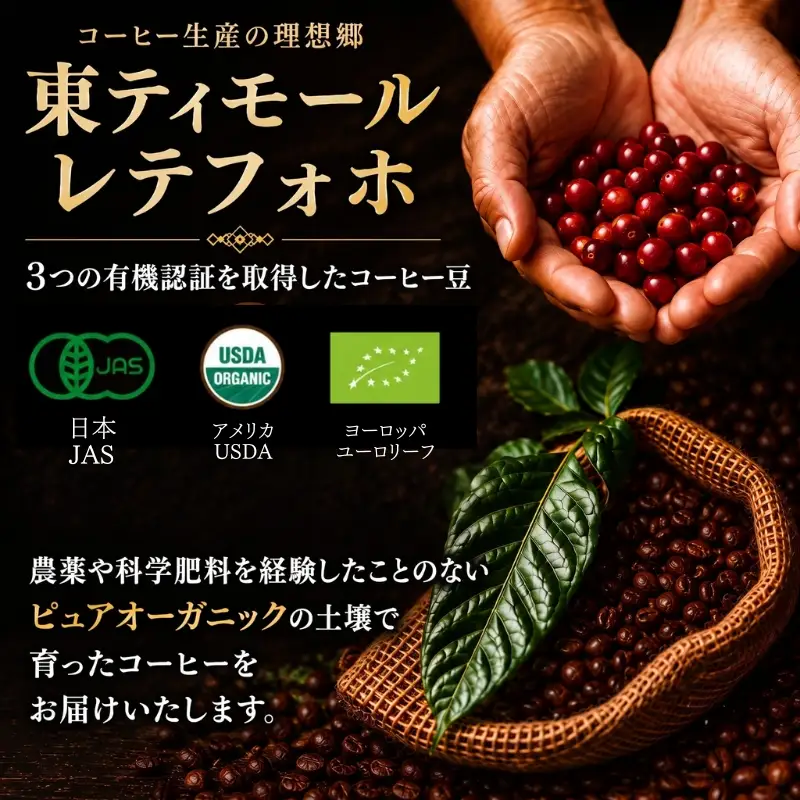 自家焙煎スペシャルティコーヒー 3種(計300g) 有機コーヒー 粉