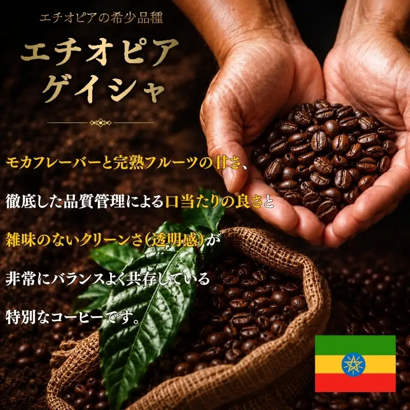 自家焙煎豆スペシャルティコーヒー エチオピアゲイシャ 4袋(計400g) コーヒー粉