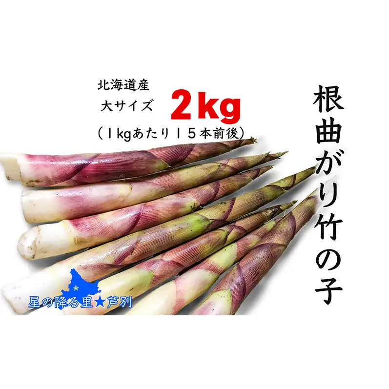 たけのこ 根曲がり竹の子 2kg 1kgあたり15本程度 山菜直売店中野渡 北海道産 竹の子 タケノコ 野菜 山菜 新鮮 味噌汁 春の恵 調理 冷蔵配送 北海道 芦別市