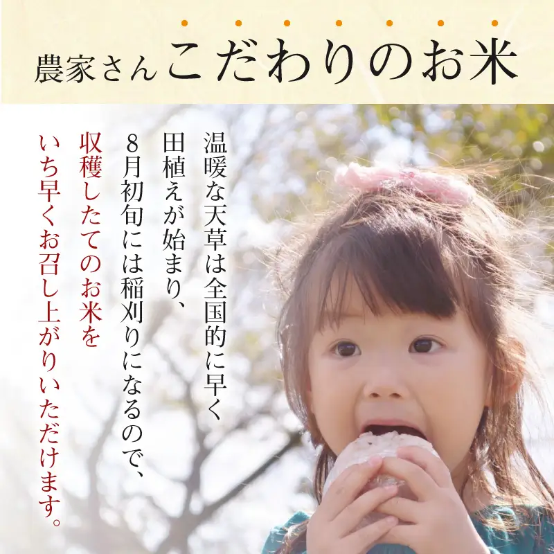 S050-007-R8_【令和8年産】コシヒカリ 精米 5kg