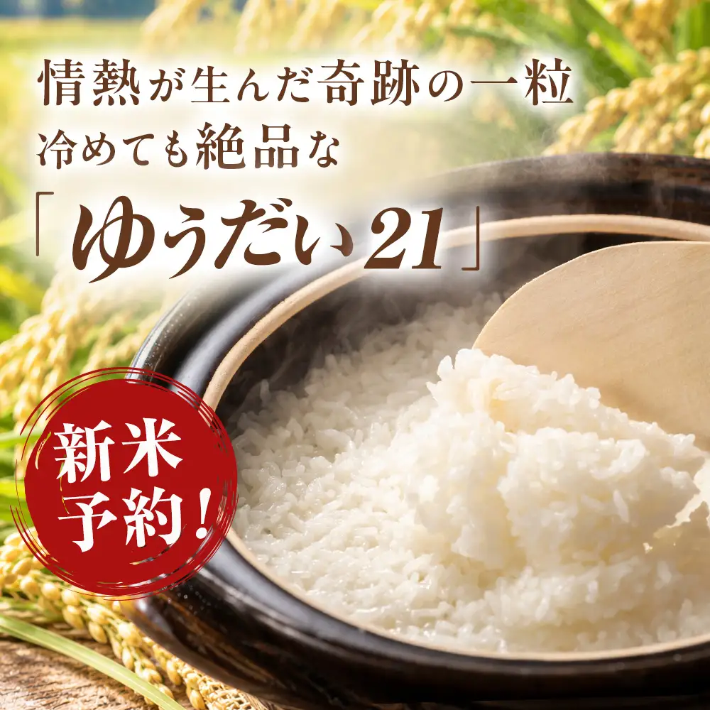 20-17 令和8年産米 栃木県産 ゆうだい21 精米 10kg