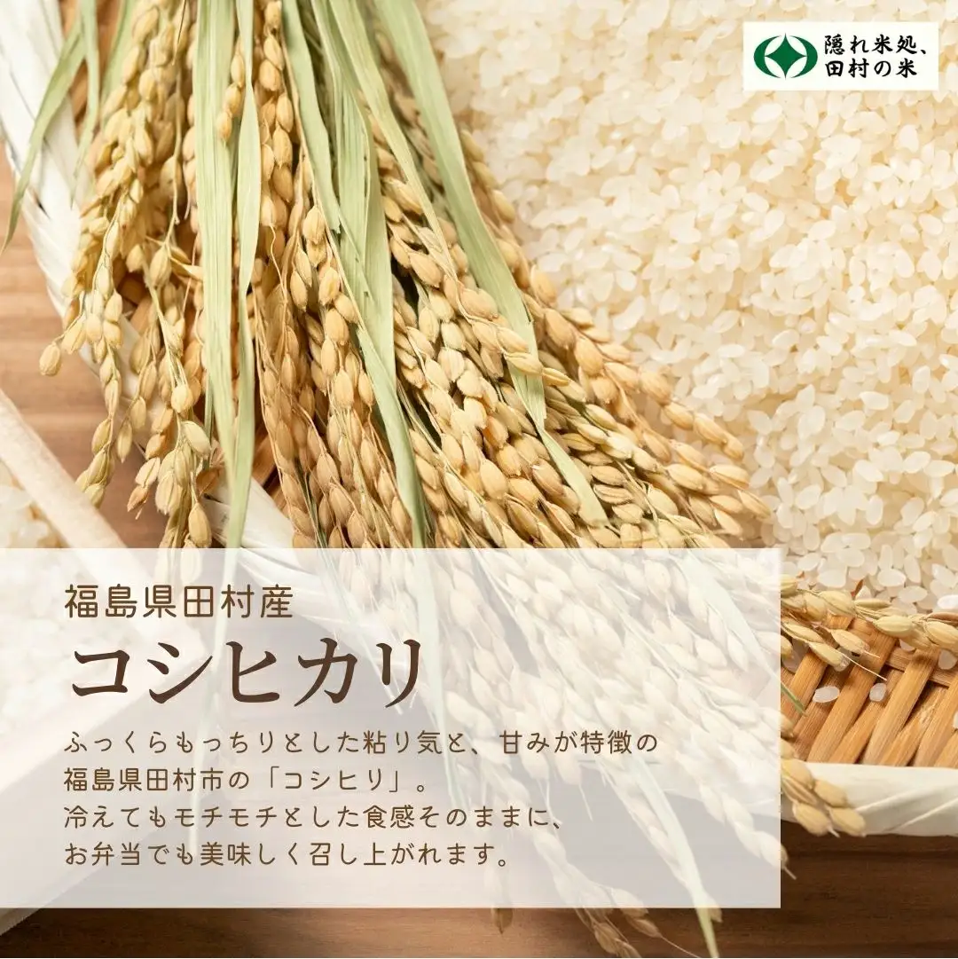 令和8年産】コシヒカリ 10kg 新米 一等米 農家直送 福島県 田村市