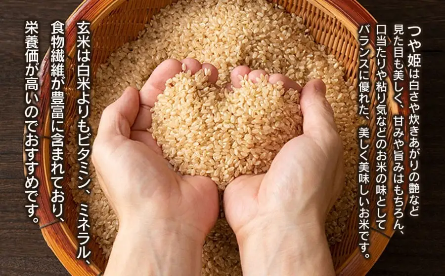 【令和8年産】特別栽培米 つや姫 玄米 5kg (5kg×1袋) 山形県庄内産 小池半左衛門  