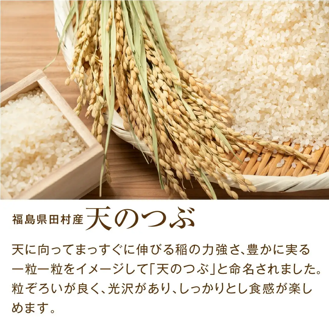 【令和8年産】天のつぶ 10kg  新米 一等米 農家直送  福島県 田村市