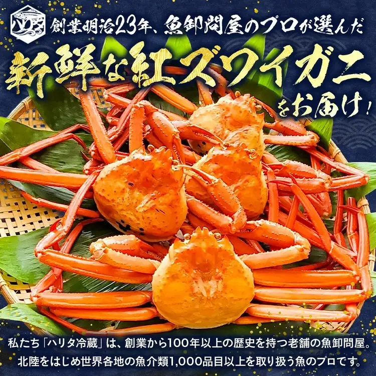 【冷凍】自社漁船直送！魚卸問屋の紅ズワイガニ 400g級×2ハイセット ※2026年9月～発送