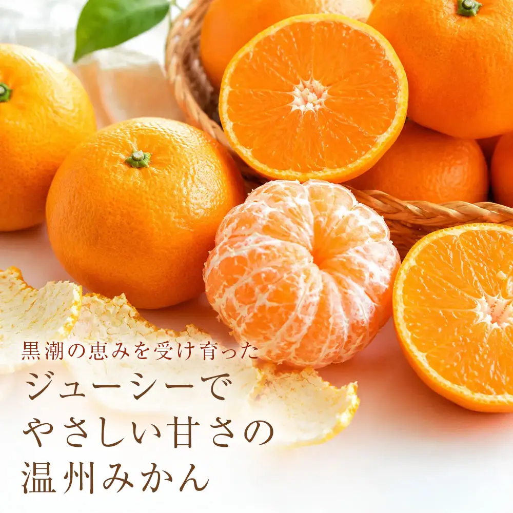 温州みかん 小粒っ子 5kg 傷み補償 300g 小玉 温州 みかん職人武田屋【R01791】