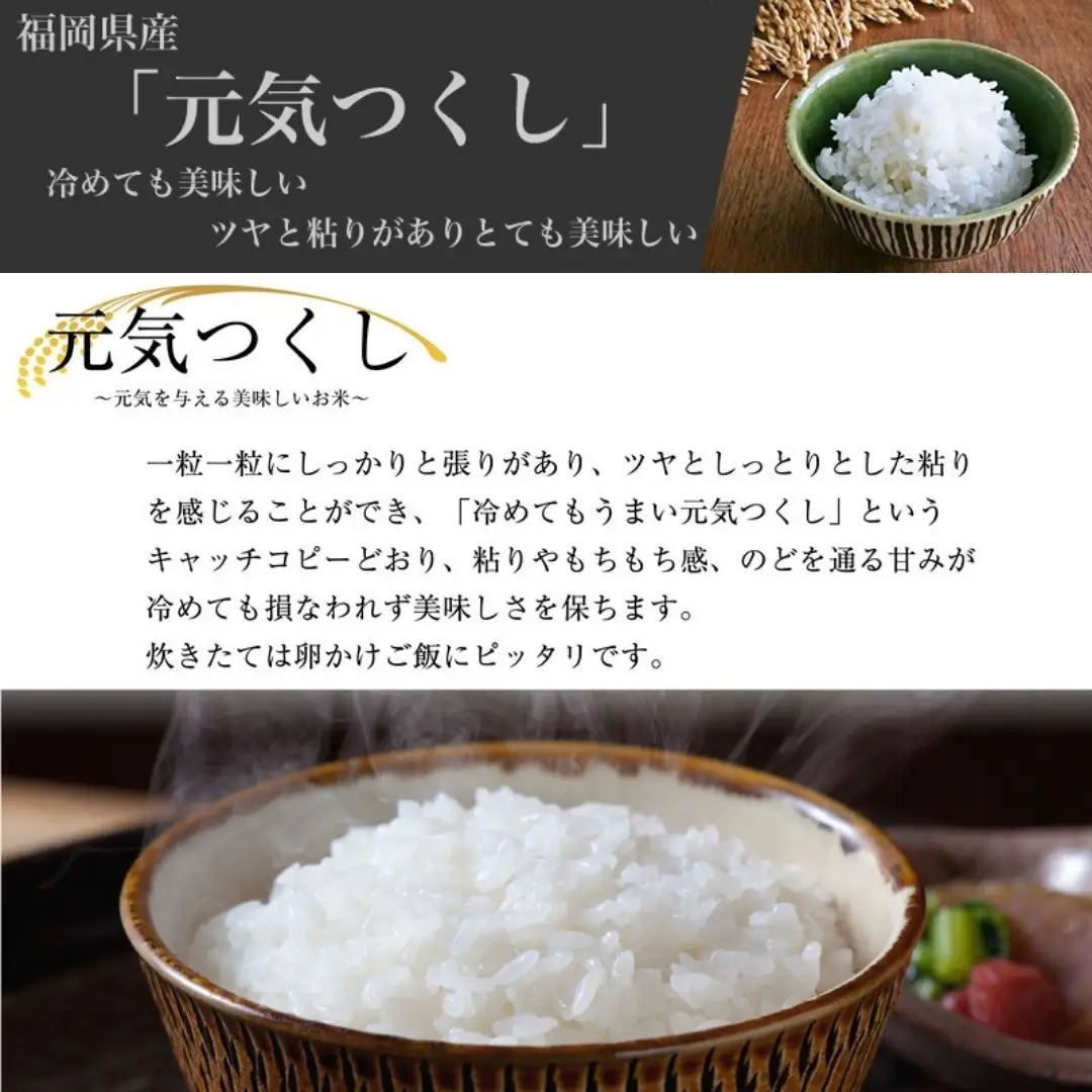 〈令和7年産〉福岡県産 「元気つくし」15kg 