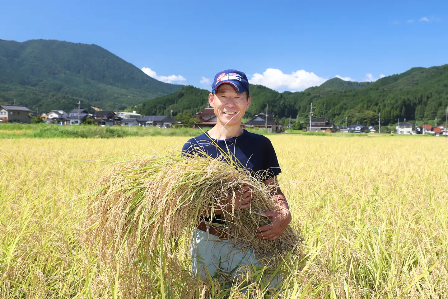 令和８年産「伊勢のかがやき」5kg【白米】減農薬・減化学肥料　木村さんのお米　イセヒカリ