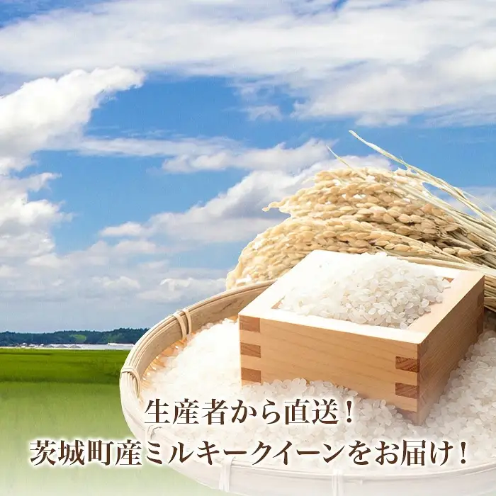 787 茨城県産 ミルキークイーン 10kg (5kg×2袋) 令和8年産 精米【米農家もろちゃん】