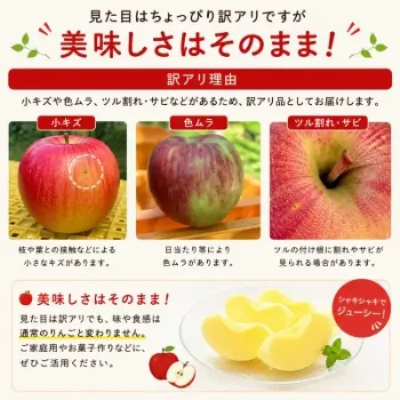 旬の品種お任せ【訳アリ】茅野市産りんご3kg(8～10玉)【配送不可地域：離島・沖縄県】【1780258】