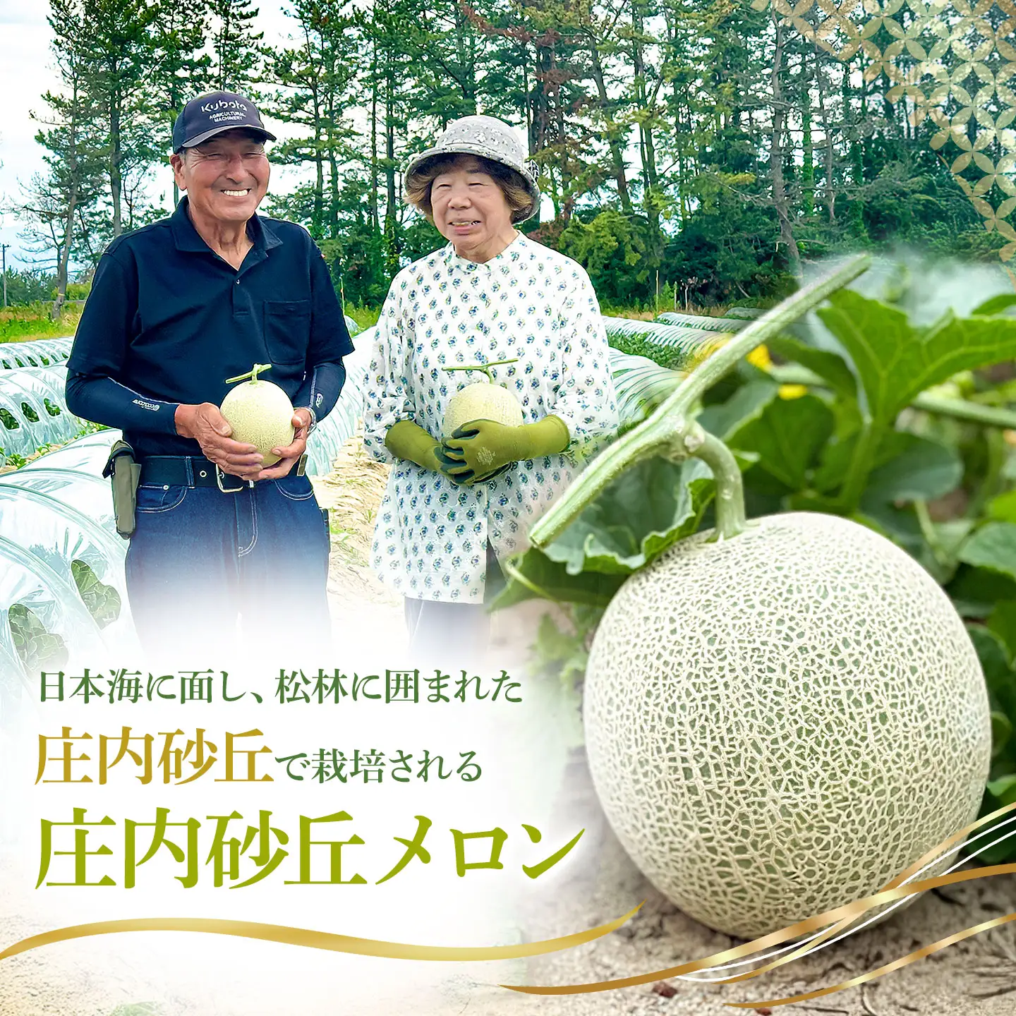 庄内砂丘アンデスメロン 4Lサイズ2玉(蔓あり) 令和9年産 K-935 菅原農園