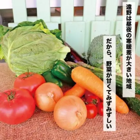 遠野ふるさと野菜便《野菜ソムリエ 厳選》/ 岩手県 遠野市産 野菜セット詰め合わせ【配送不可地域：離島】【1519347】