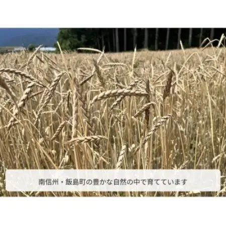スペルト小麦精製粉【1775340】