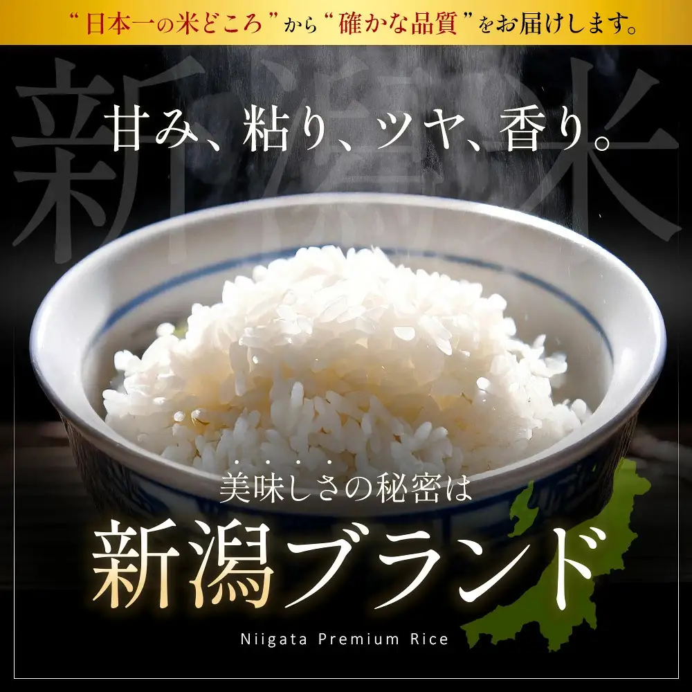 新潟県見附市産 生活応援米10kg 新米 お米 米 訳あり 白米 精米 新潟米 新潟 ブランド いち会