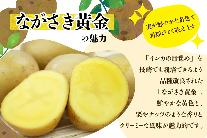 AK077 じゃがいも ながさき黄金 出島 じゃがいも食べ比べセット 計5kg