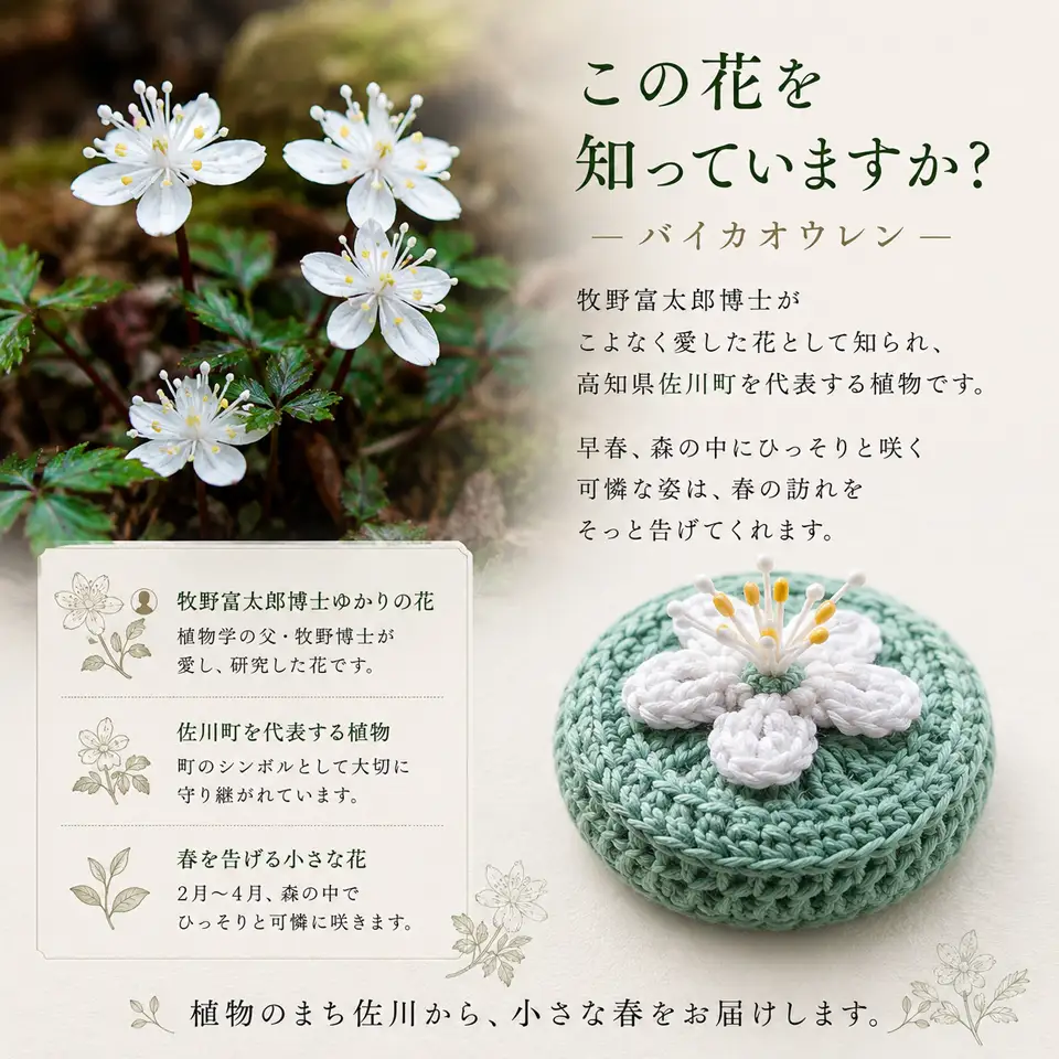 【ふるさと納税】＜【花：３輪　カラー：ライトグリーン】バイカオウレンモチーフ ペーパーウェイト＞1個 文鎮 インテリア 自然 フラワーモチーフ flower 朝ドラらんまんモデル 牧野博士が愛した花 ハンドメイド 白い花 グリーン 山野草 植物好き 編み物作家 かわいい