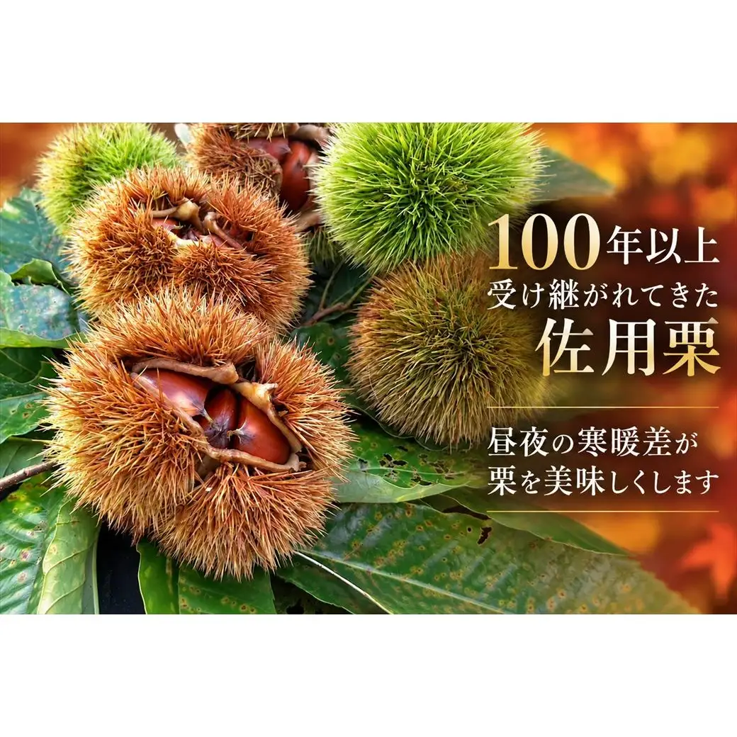 数量限定 【早期予約 10月上旬から順次出荷】令和8年産 新米 精米 兵庫県産 縁結び 5kg 佐用産栗800g
