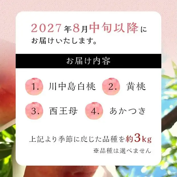 【2027年8月中旬以降より発送】旬の桃おまかせ約3kg・5～8玉（自家製有機肥料・減農薬・化学肥料無使用）