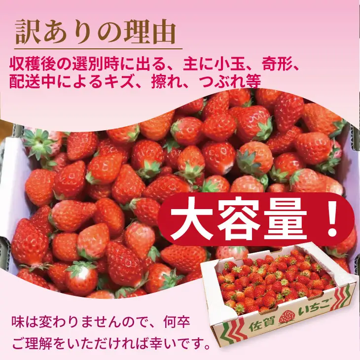 【先行予約】令和9年2月上旬頃出荷開始 訳あり苺（3.600g）ふるかわ農園 大量 段ボール入り イチゴ いちごさん 苺 訳あり C220-014