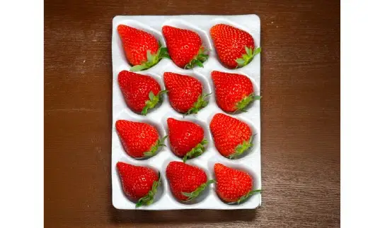ベリーポップすず 約350g × 2パック 計約700g イチゴ いちご 苺 果物 くだもの フルーツ 果実 果肉 甘み 希少品種 希少性 国産 静岡県菊川市産 冷蔵 【2027年1月上旬～2027年3月上旬まで順次発送予定】