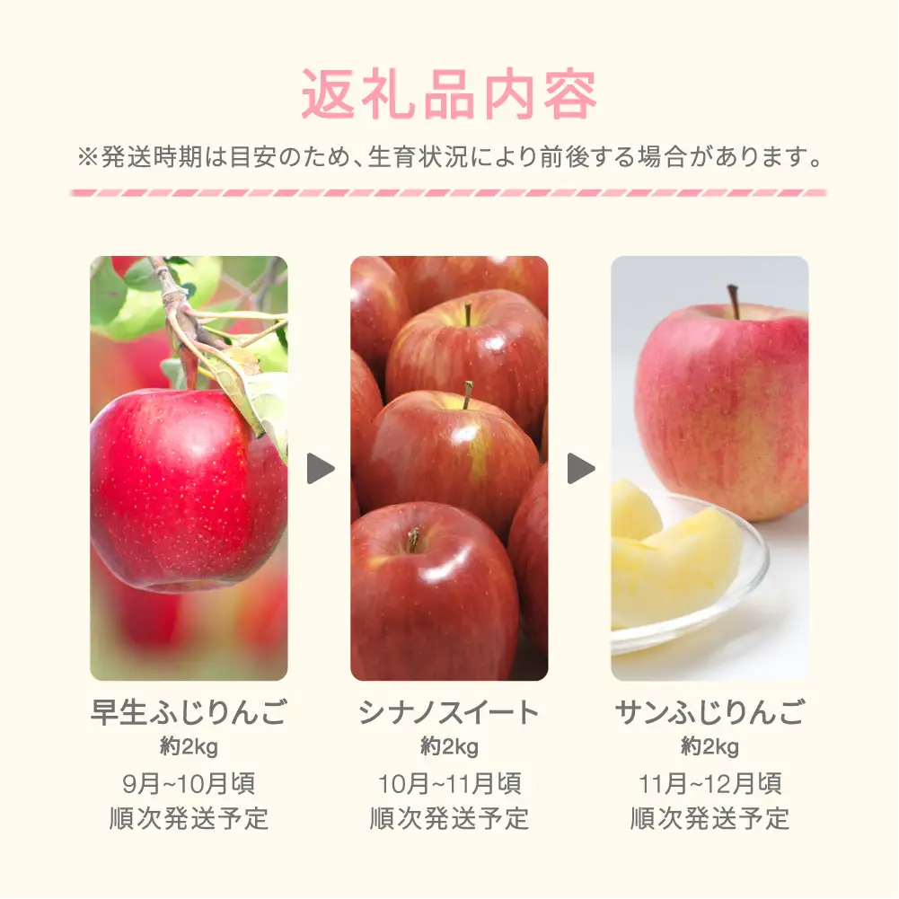 【先行予約】りんご食べ比べ定期便3回コース 令和9年産 sb-ftrix3-a