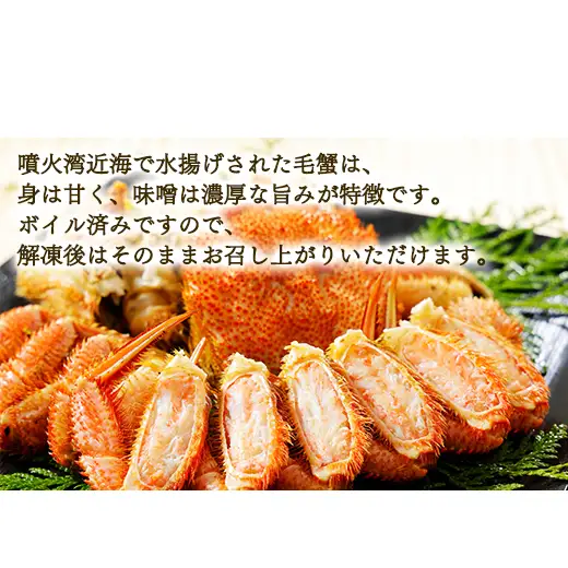 【順次発送】北海道産 ボイル毛蟹 約1kg（500g前後×2尾）蟹 カニ 冷凍 