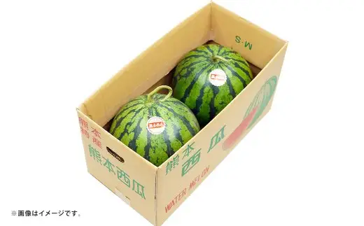 大玉すいか 1玉入り S以上 約2kg 先行予約 スイカ 西瓜 すいか 熊本すいか 果物 くだもの 果実 フルーツ 【 2027年5月上旬 ～ 6月下旬 発送予定 】