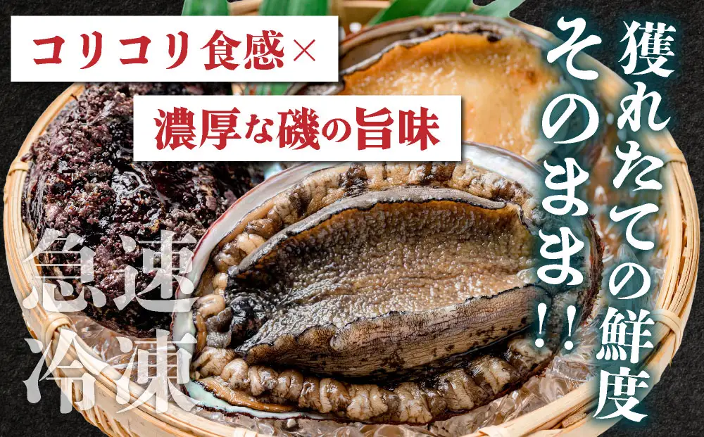 天然 蝦夷あわび 計300g 【mh-0935】