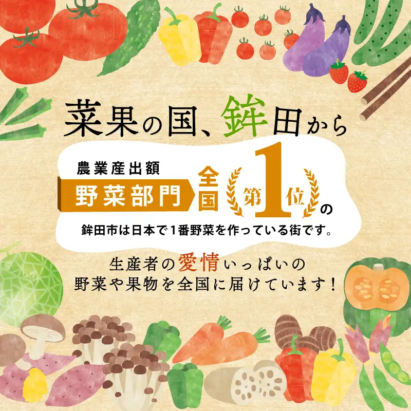 米 新米 令和8年産 コシヒカリ 10kg