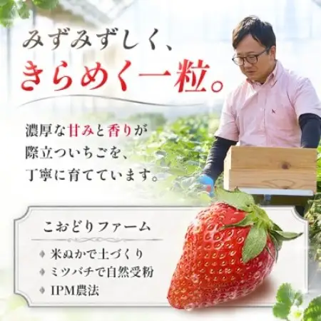 【先行予約 2027年1月中旬以降発送】旬の品種を厳選 きらめく旬のいちご 約180g【配送不可地域：離島・沖縄県】【1778748】