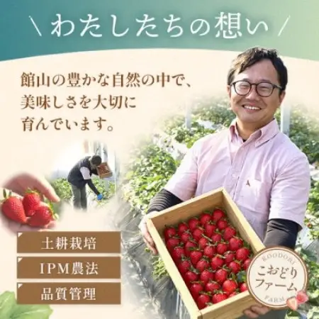 【先行予約 2027年1月中旬以降発送】旬の品種を厳選 至福の完熟いちご 約400g 化粧箱入り【配送不可地域：離島・沖縄県】【1778750】