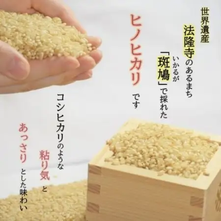 世界遺産「法隆寺」のあるまちで採れた玄米【ヒノヒカリ】5.5kg令和8年産【1777939】