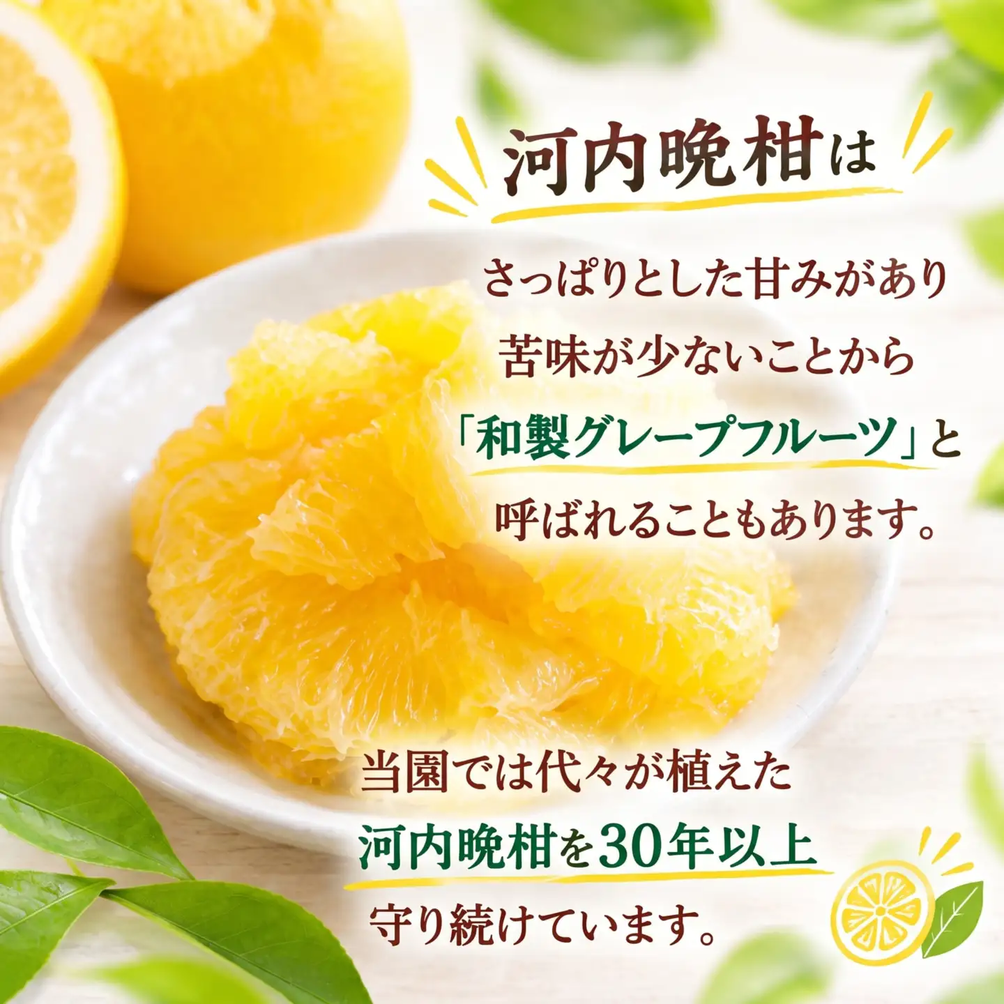 【先行予約】 訳あり 愛南ゴールド 約5kg＋傷み保障約1kg 合計約6kg 河内晩柑 柑橘 フルーツ 果物 みかん 家庭用 傷 不揃い 農園直送 愛媛県 愛南町 エニシトラス 発送期間：2027年4月上旬～5月下旬（なくなり次第終了）