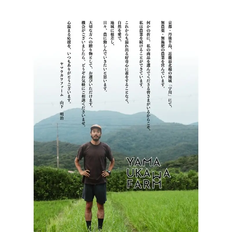 白米麺10袋セット