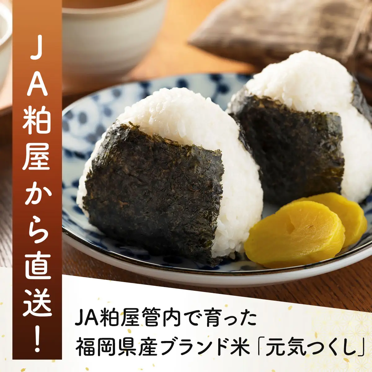 令和7年産 かすやそだち米「元気つくし」精米 5kg【KN003】
