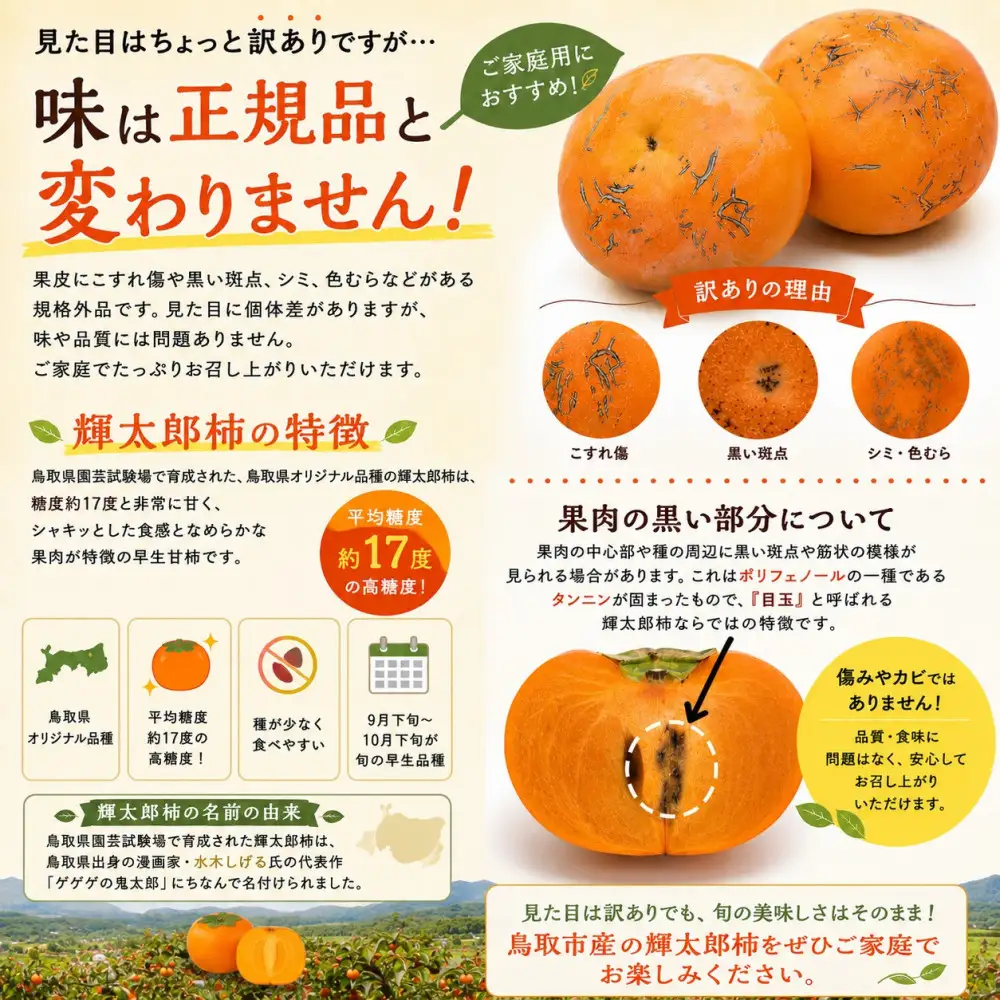 【先行予約】【2026年秋発送】鳥取市産 輝太郎柿 約3kg【訳あり・ご家庭用】鳥取県オリジナル 高糖度 甘柿 種が少ない 秋の味覚