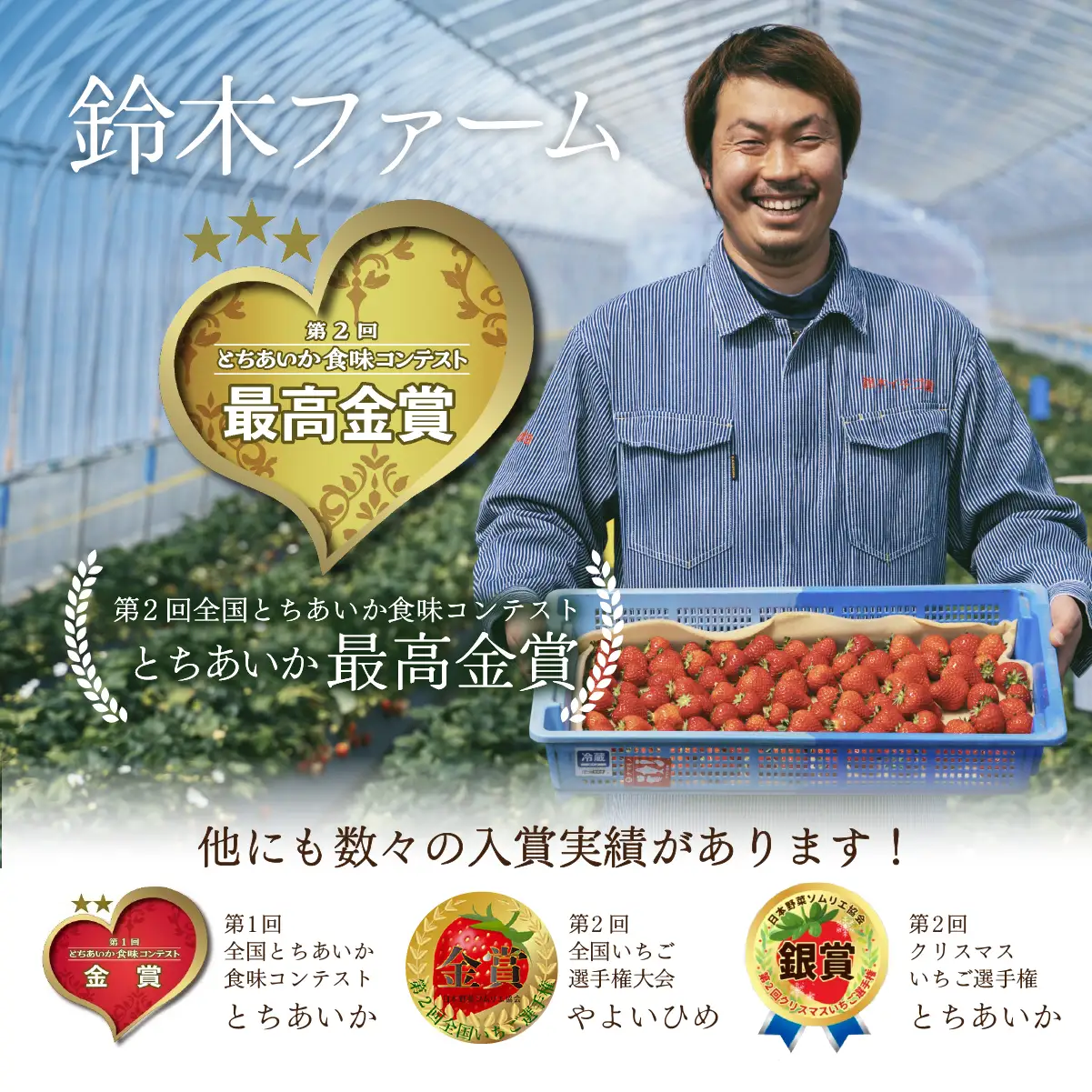 いちご【1月以降発送】朝採れとちあいか レギュラーサイズ 約270g × 2パック 合計 約540g |イチゴ いちご