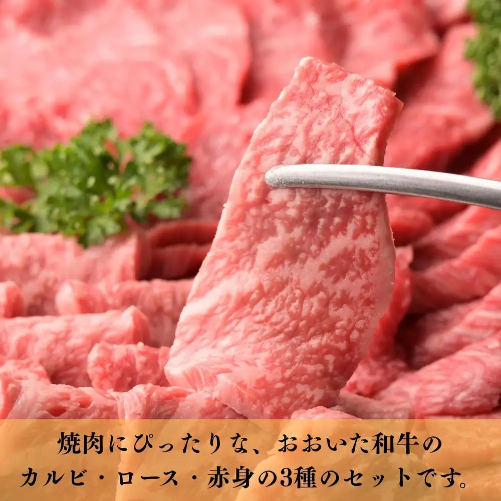 おおいた和牛 牛肉の3種盛 (カルビ ロース  赤身)  合計 750g | 津久見市