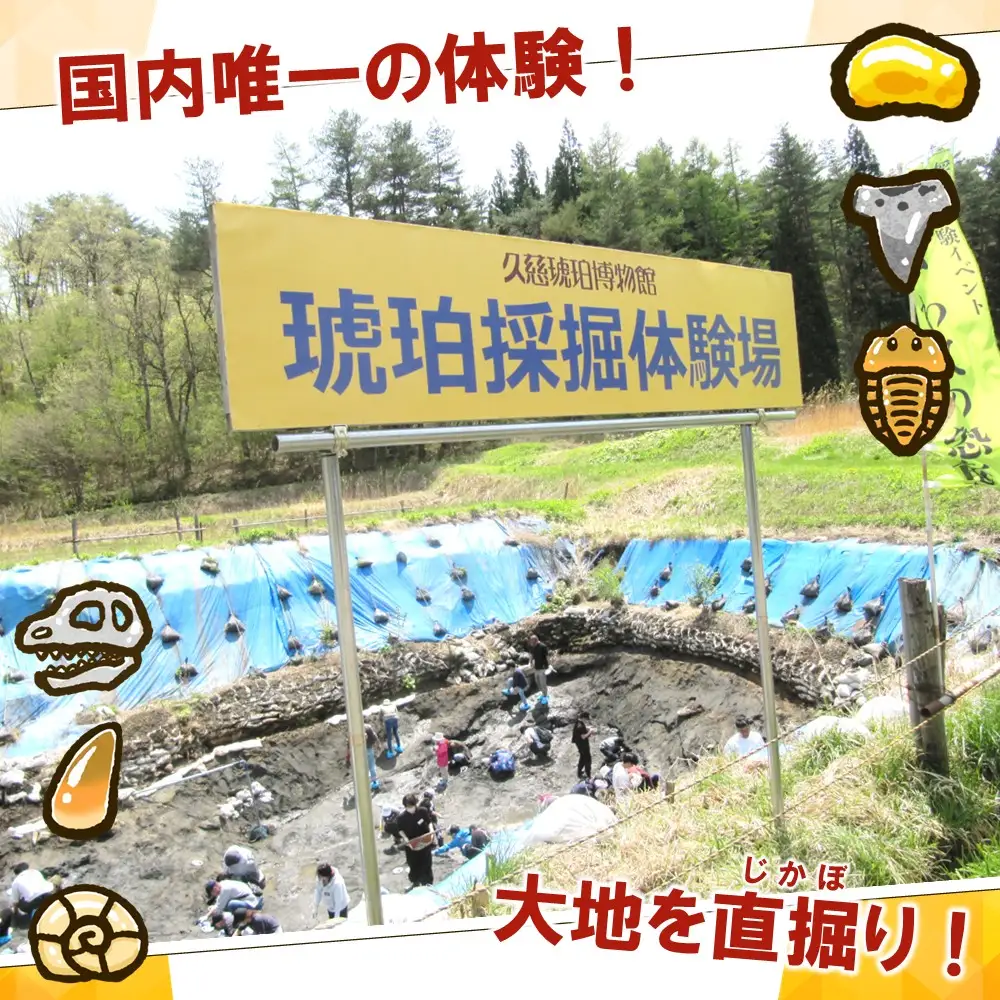 ＼恐竜時代の地層から琥珀を掘り出す本格体験／「琥珀採掘体験プラン」１名様分