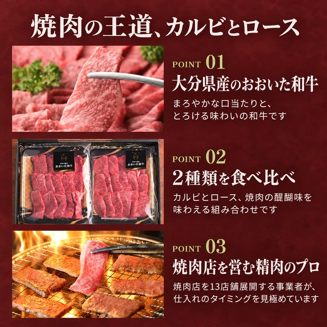 おおいた和牛 カルビ  ロース 焼肉 セット 合計 約500g | 津久見市