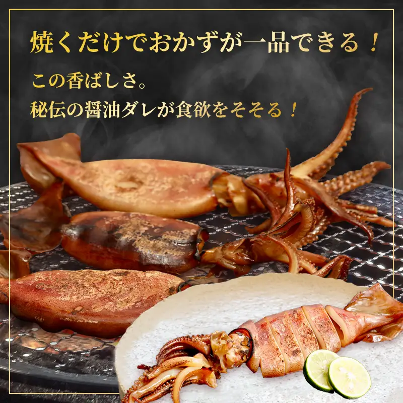 スルメイカ 醤油漬け 6匹 舞鶴産 京都府産 スルメイカ